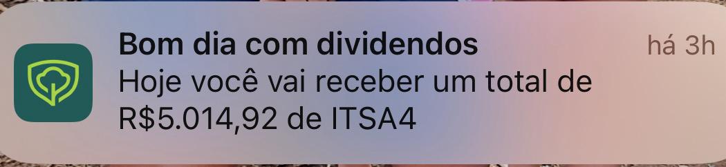 WhatsApp Image 2025-03-14 at 08.47.18